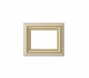 ■8116 油絵額F3(273×220mm) アイボリー