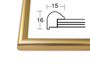 5004デッサン額 インチサイズ(255×203mm) ゴールド