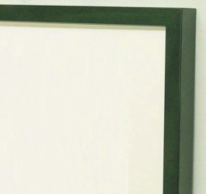 5767デッサン額 八ツ切サイズ(303×242mm) ( グリーン )