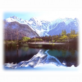 坪井志朗油絵額F6金 「上高地大正池」