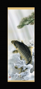 ■森山観月 (尺五)掛軸  「大昇鯉」