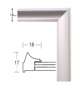 5003デッサン額 インチサイズ(255×203mm) シルバー