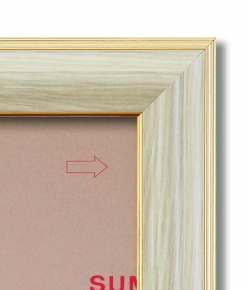 511-0 色紙額(8×9)273×242mm