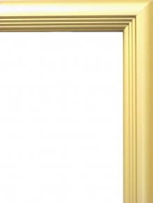 5004デッサン額 インチサイズ(255×203mm) ゴールド