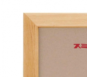 色紙額5768(8×9)273×242mm