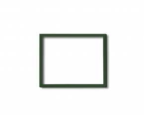 5767デッサン額 インチサイズ(254×203mm) (グリーン)