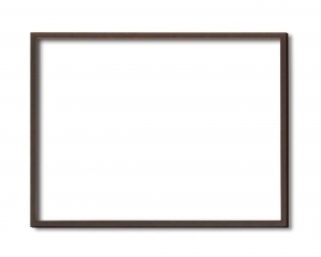 5767デッサン額 小全紙サイズ(660×510mm) (ブラウン)