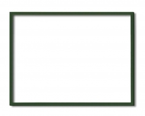 5767デッサン額 大全紙サイズ(727×545mm) (グリーン)
