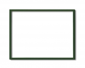 5767デッサン額 小全紙サイズ(660×510mm) (グリーン)