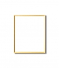 5003デッサン額 四ツ切サイズ(424×348mm) ゴールド