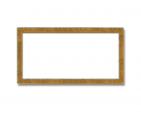 長方形額(500×250mm) 金柄紋