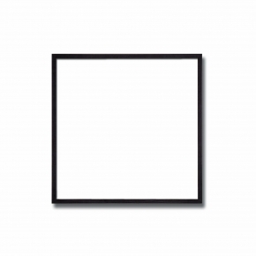 【角額】紫外線から作品を守るUVカットアクリル付き■9102 300角(300×300mm) 墨